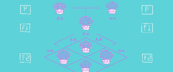 Завершающая песня