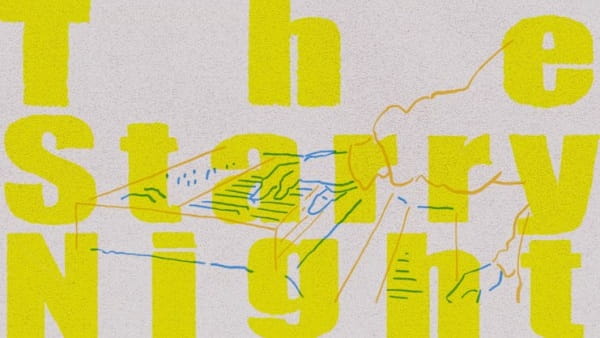 Звёздная ночь