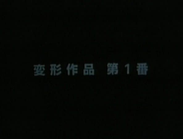 Метаморфоза: Произведение №1