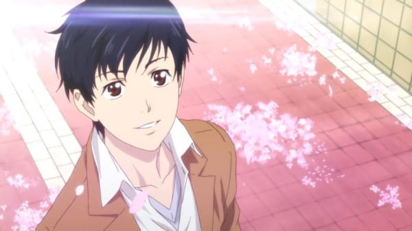 Промедикус