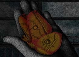 Место, где есть мотыльки