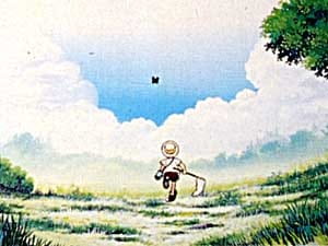 Очерки о насекомых