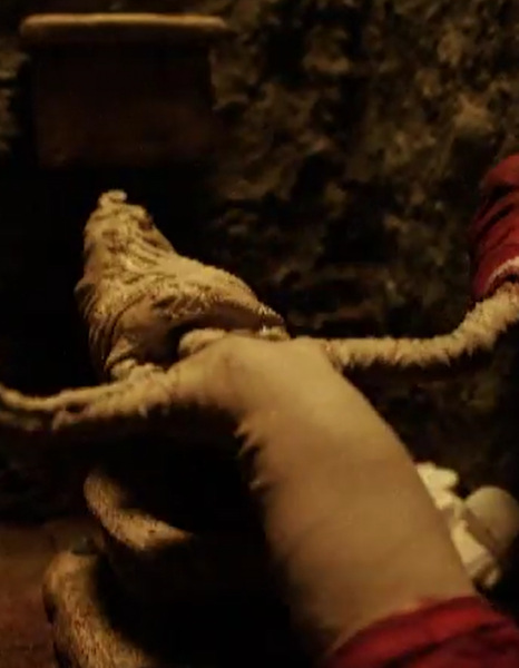 Органический круг