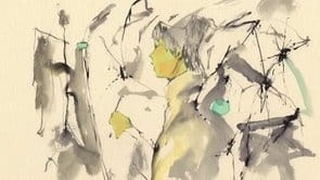 Сумасшедший