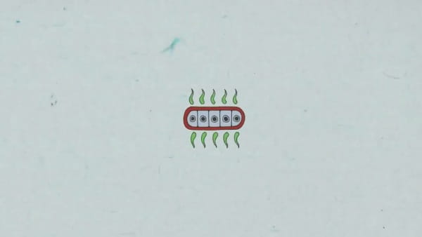 Бревенчатый день тембра