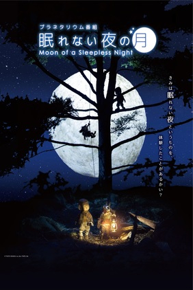 Луна и бессонная ночь