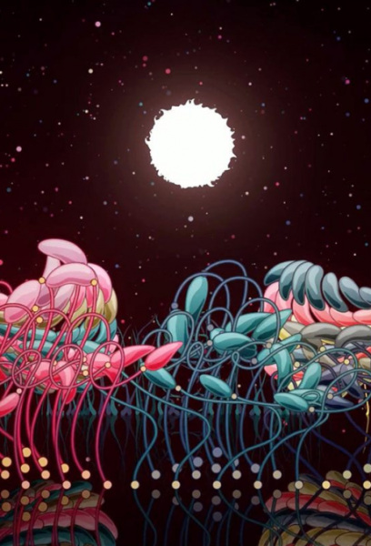 Медленный восход