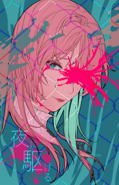 Мчась навстречу ночи