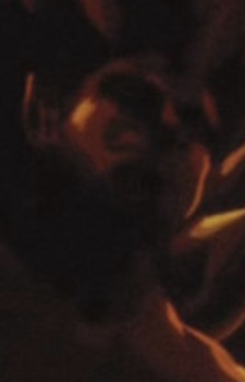 Дух пламени