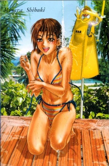 Шибуки Мияра