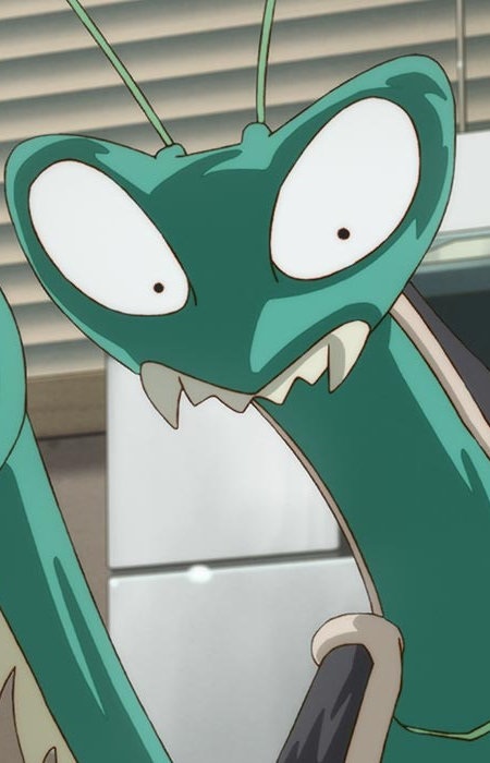 Человек-богомол