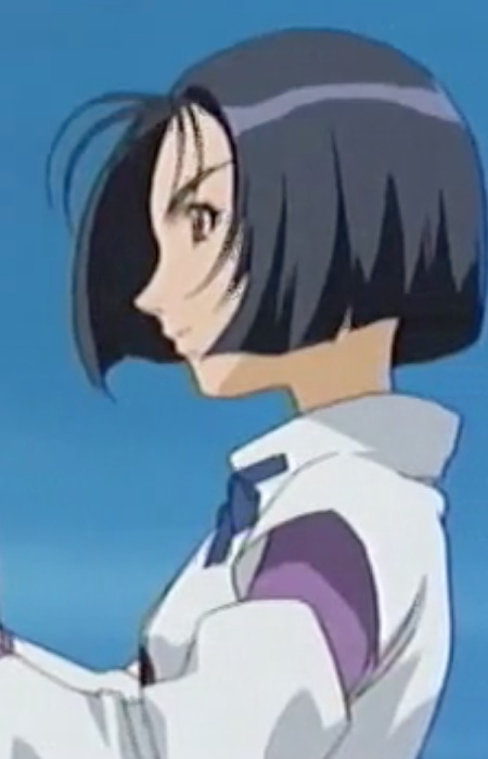 Араясики востока