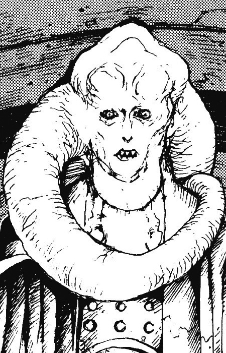 Биб Фортуна