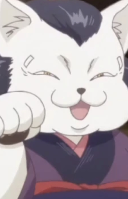 Владелец магазина для кошек