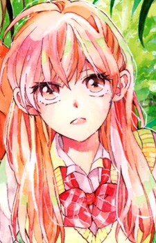 Мито Камигомэ