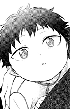 Минато Кога