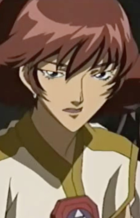 Араясики запада