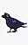 Ворона