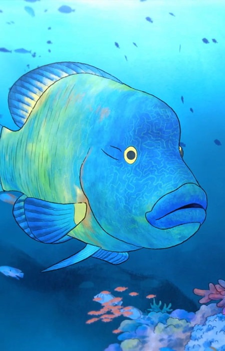 Рыба-наполеон