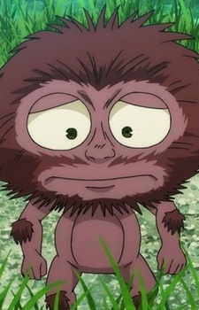 Адзуки-хакари