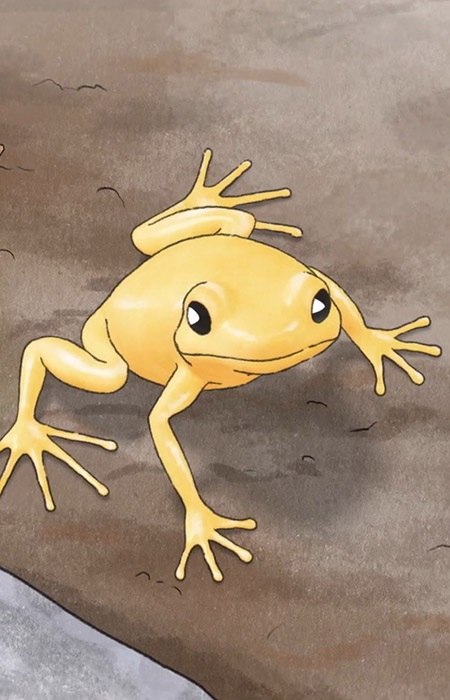 Золотая мантелла