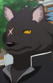 Куромори Вулф