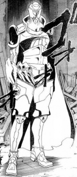 Директор Руи