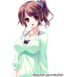 Тёко Хинамидори