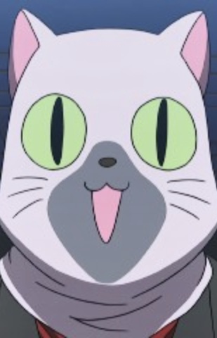 Сиамский кот