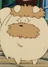 Синдобукку