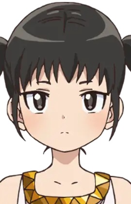 Сакина Анагума