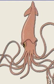 Призрак кальмара