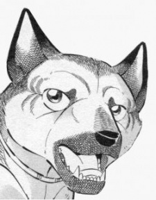 Энди Валкама