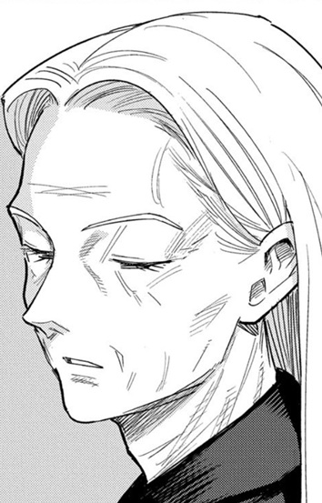 Нокиа Серрес