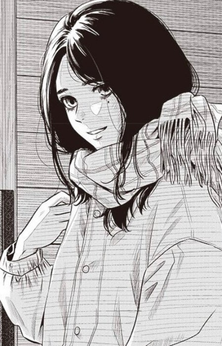 Мидзуки Айкава