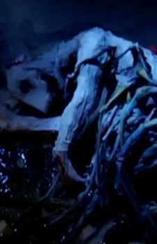 Уилбур Уэйтли