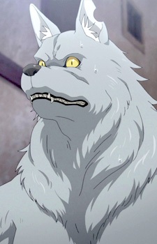 Вольфганг фон Крафтман