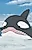 Killer Whale A