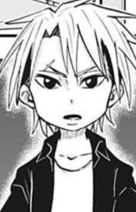 Тидзуру Мифунэ