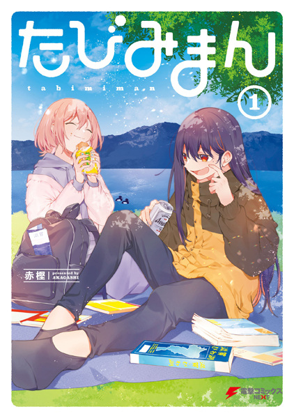 Меньше, чем путешествие