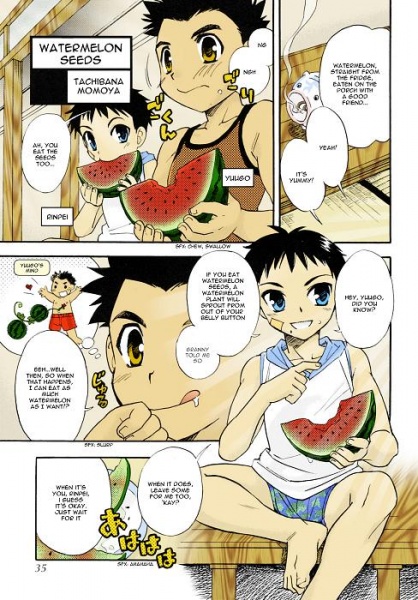 Семена арбуза