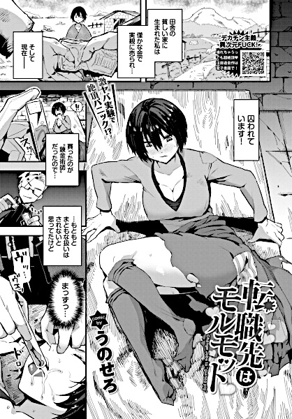 Новая работа в качестве «подопытного кролика»