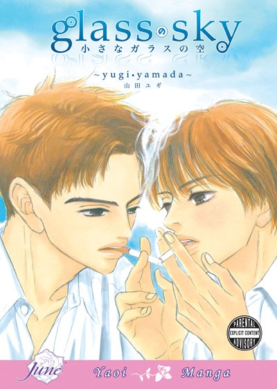 Маленькое стеклянное небо