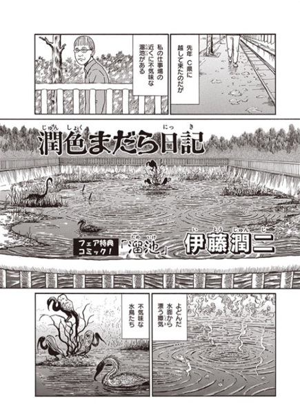 Дневник, украшенный нашивками