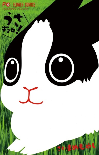 Кролик Гёро!