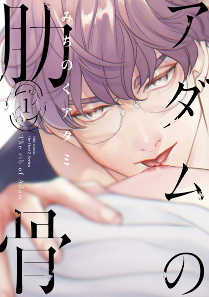 Рёбра Адама