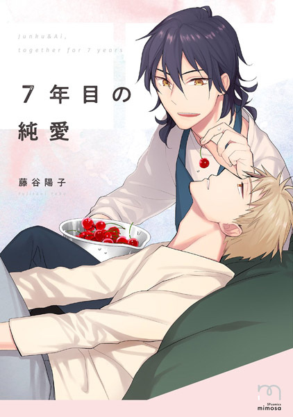 Седьмая годовщина чистой любви