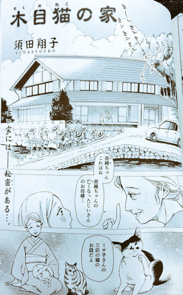 Дом древесных кошек