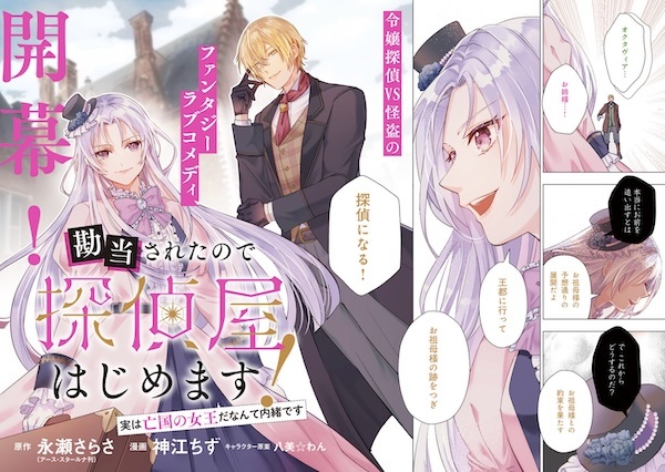 Kandou sareta node Tanteiya Hajimemasu! Jitsu wa Boukoku no Joou da nante Naisho desu