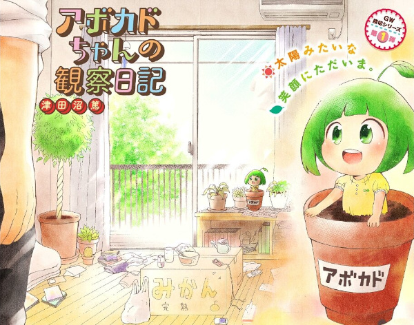 Дневник наблюдений Авокадо